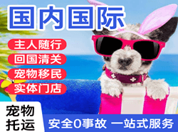 张家界空运国际宠物托运 【国